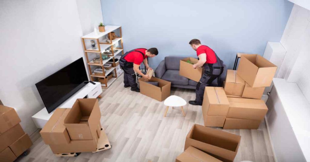 packers-and-movers-udaipur